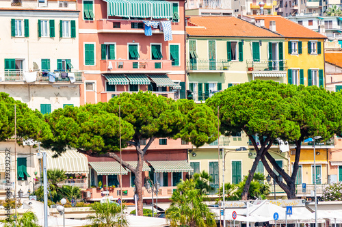 Vibrant buildings, medieval Old Town architecture of Sanremo with vivid green growing pines on foreground