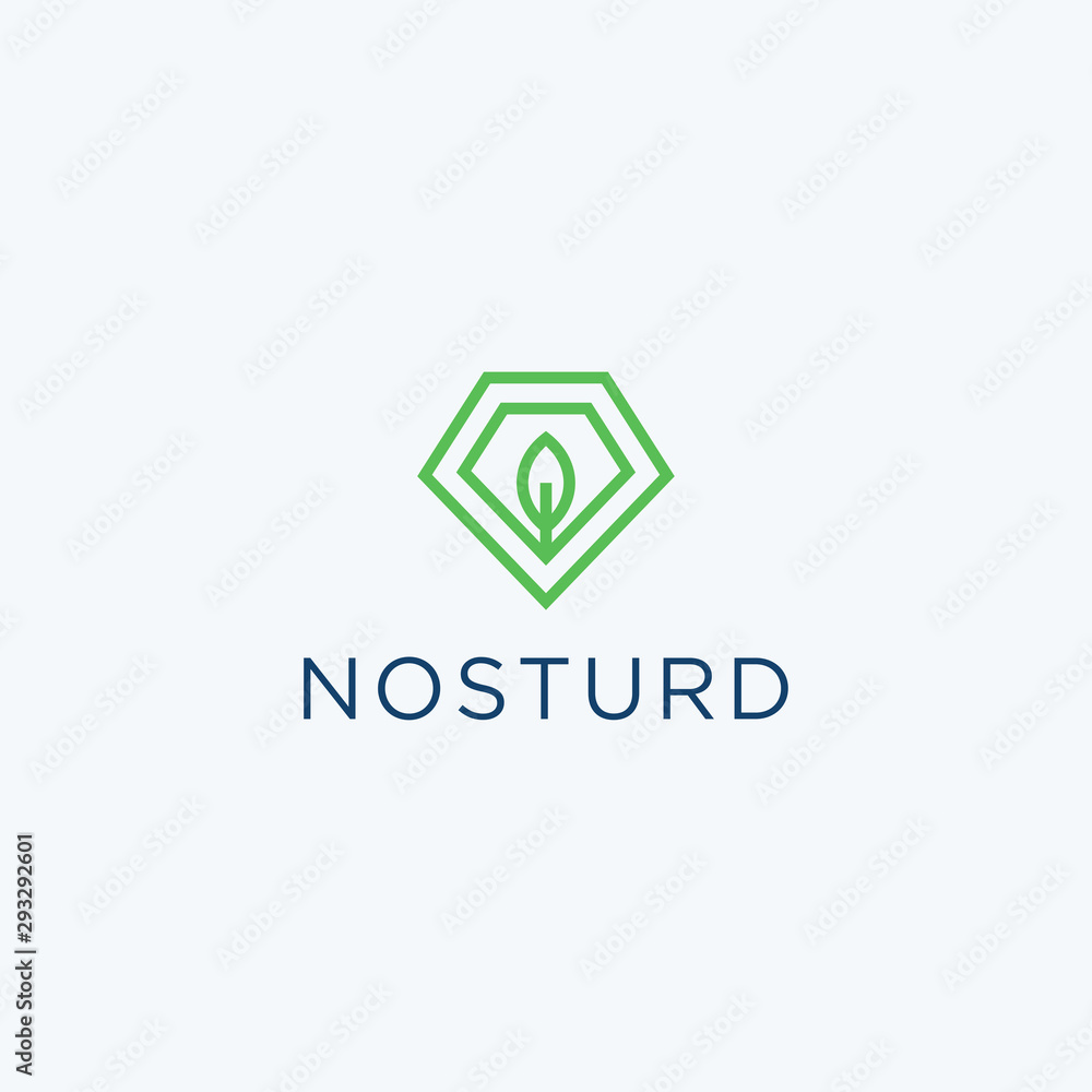 Diamond with leaf logo icon design vector. Diamond with leaf logo icon design vector.