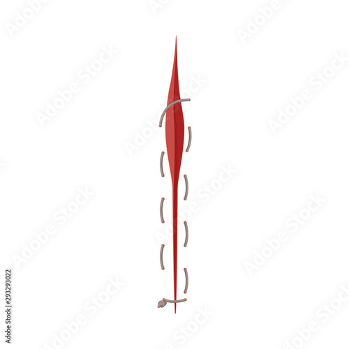 Illustration Of Surgical Suture For Wound, Medical Vector Concept