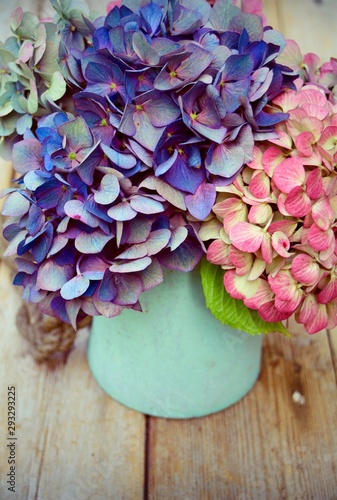 Grußkarte - Hortensien Blum...