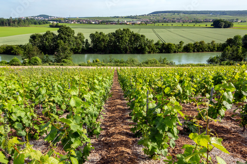 Vineyards and the River Marne at Hautvillers - France photo