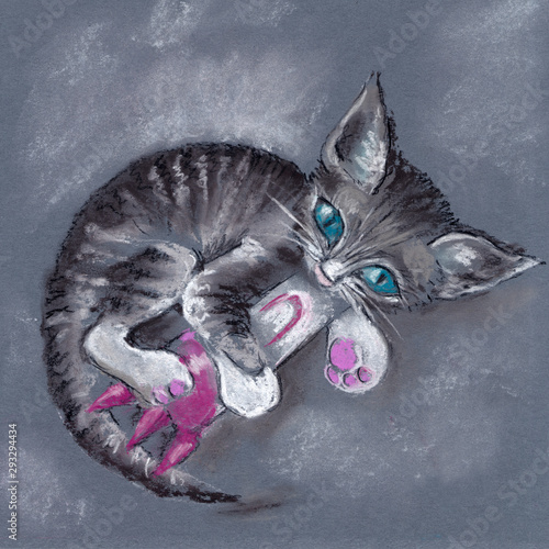 Schilderij op canvas A Kitten With Blue Eyes Playing With A Toy Rocket