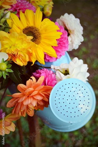 Dahlien Blumenstrauß in ein...