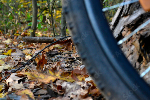 Wallpaper Mural Bike and autumn Torontodigital.ca