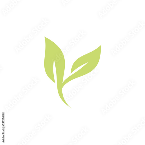 tree leaf logo template,nature design concept, tree leaf