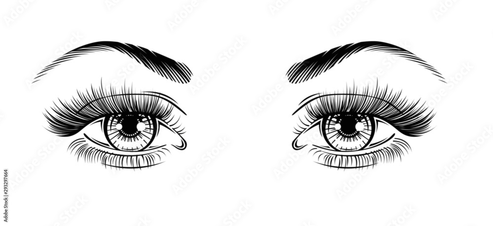 Pop art woman's sexy luxurious monochrome eyes with perfectly shaped eyebrows and full lashes. Template on white background for business visit card, typography vector. Perfect salon look. Makeup.