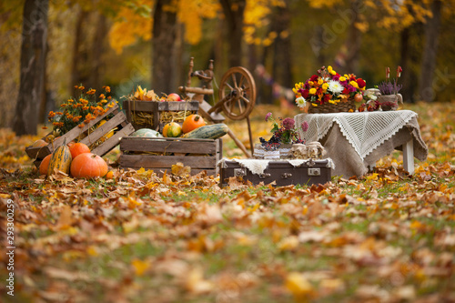 Autumn decor in the garden. Pumpkins lying in wooden box on autumn background. Old fashioned wooden distaff. Autumn time. Thanksgiving Day.