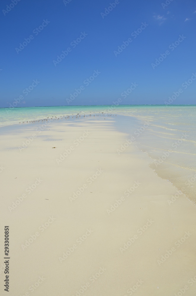 Crystal clear waters of Zanzibar Crystal clear waters of Zanzibar