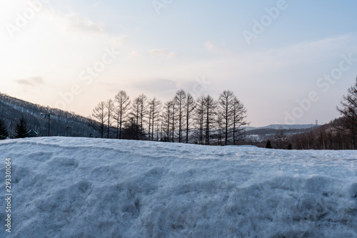 Winter snow mountain forest landscape.
