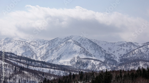 Snow covered trees on winter snow mountains. Winter snow mountain forest landscape.