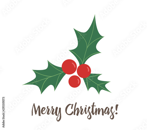 Vector holly leaves and berries isolated on white background. Cute funny illustration of new year symbol. Christmas flat style picture for decorations or design..