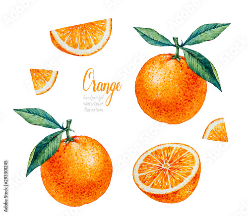 Watercolor Orange. Watercolor botanical illustration. Citrus fruit. Orange set. Slices of orange