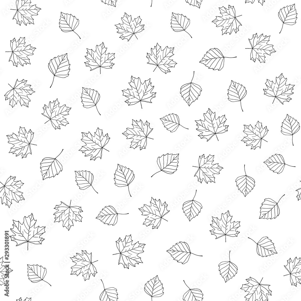 Autumn leaves. Vector monochrome seamless pattern with hand drawn outline leaves. Sketch maple and birch leaves. Leaf fall ornament on white background