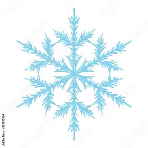 Illustration of crystal snowflake.
