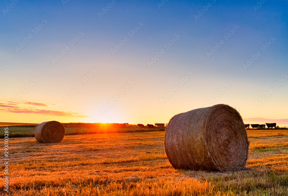 bales of straw on field