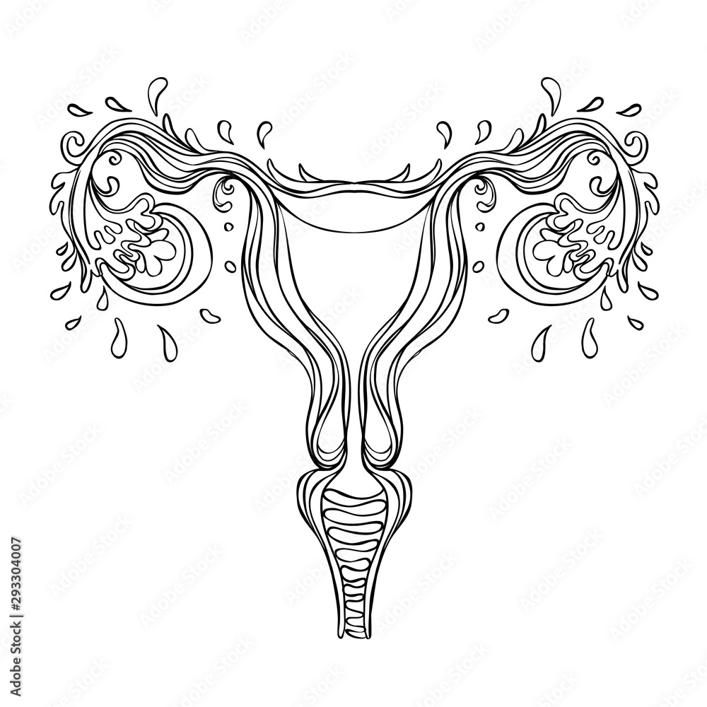 Decorative drawing of female reproductive system with flowers. Hand drawn  uterus, womb. Girl power, feminism. Vector illustration isolated on white.  Stock Vector | Adobe Stock