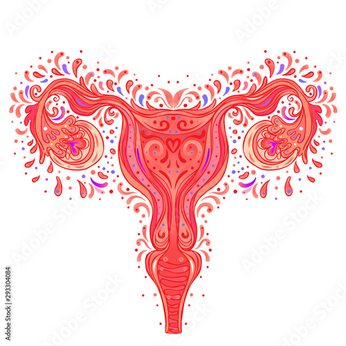 Decorative drawing of female reproductive system with flowers. Hand drawn uterus, womb. Girl power, feminism. Vector illustration isolated on white.