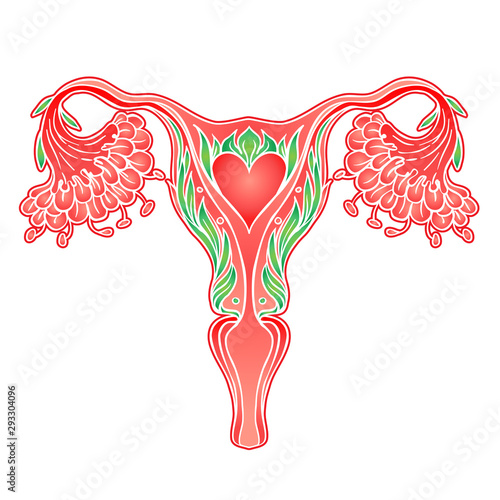 Decorative drawing of female reproductive system with flowers. Hand drawn uterus, womb. Girl power, feminism. Vector illustration isolated on white.