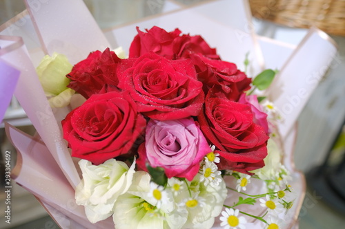 Macro view of colorful blue red green white pink purple rose flower bouquet in full blossom