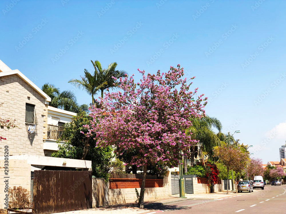 HOLON, ISRAEL  April 02, 2019: Private houses, trees and streets in Holon, Israel