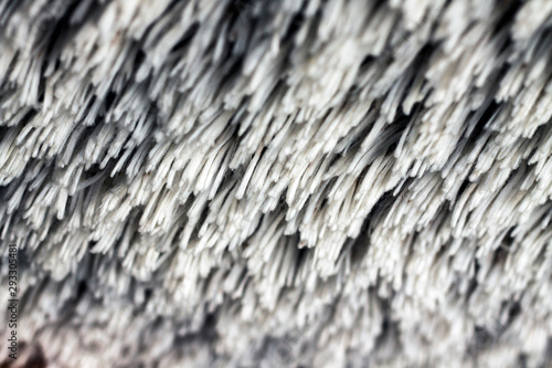 Texture laine blanche