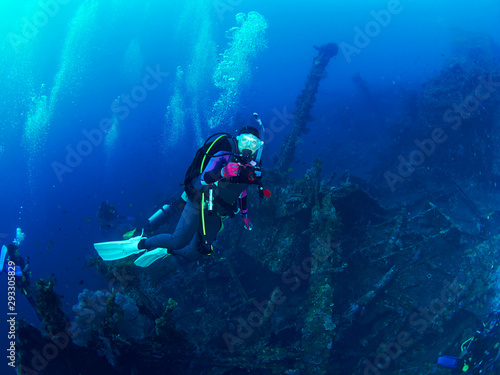 scuba diver with coral © Metha
