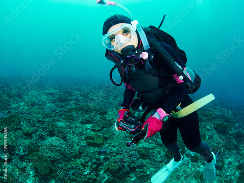 scuba diver with coral