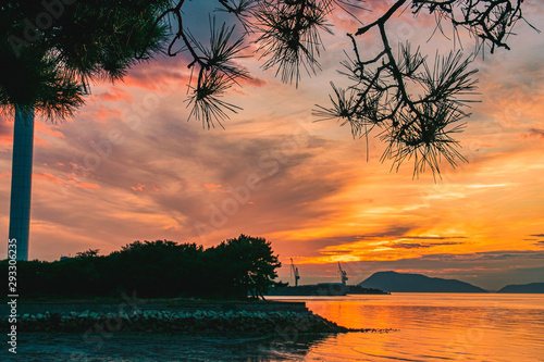 Wallpaper Mural 夕焼け Torontodigital.ca