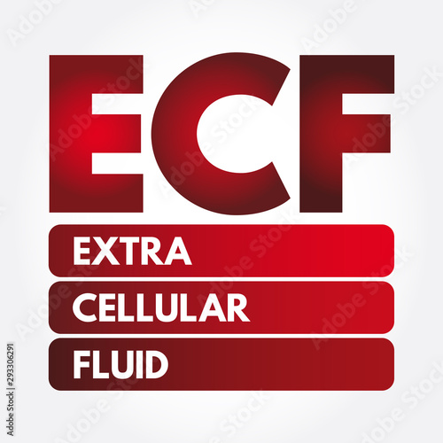 ECF - Extracellular fluid acronym, medical concept background