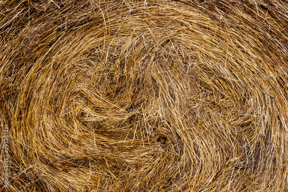 hay texture, ready background for the header hay texture, ready background for the header