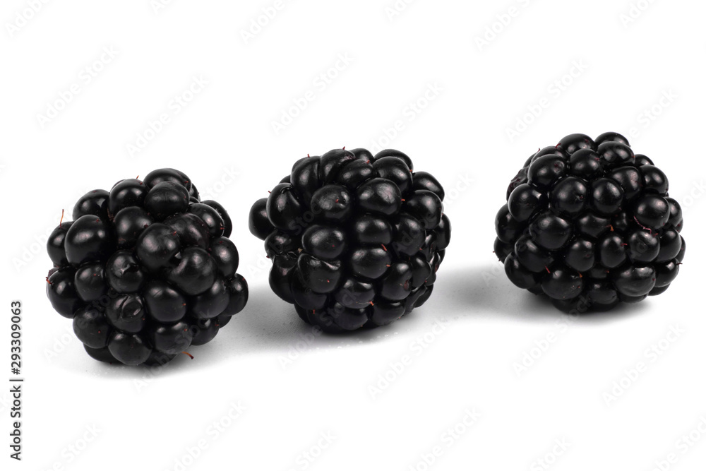 Three ogranic blackberries laying isolated from each other on white background Three ogranic blackberries laying isolated from each other on white background