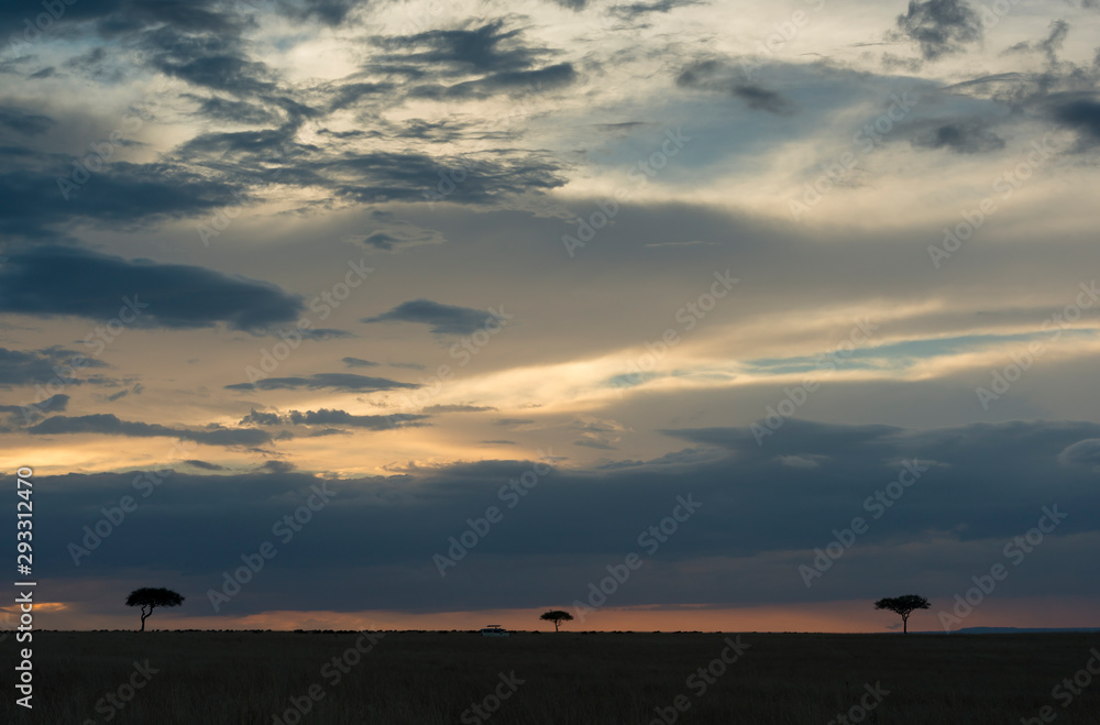 Landscape of Masai Mara Game Reserve,Kenya,Africa