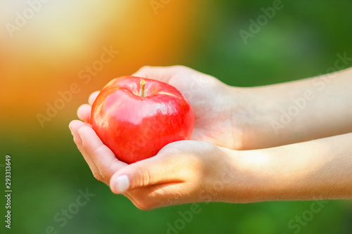 apple in the hands of a child on nature in the garden background