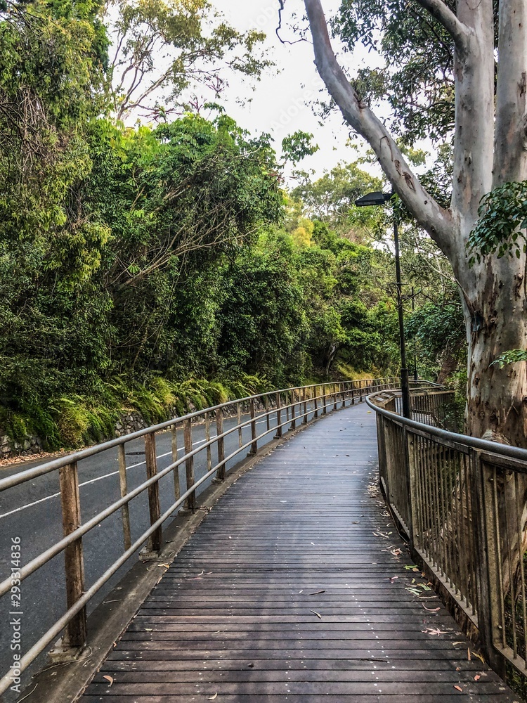 Noosa Walk - footpath winding along the Noosa headlands in Queensland's sunshine coast, past the beaches and through eucalyptus forests. An amazing tourist attraction. Noosa Walk - footpath winding along the Noosa headlands in Queensland's sunshine coast, past the beaches and through eucalyptus forests. An amazing tourist attraction.
