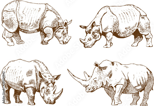 vector image of a wild rhino set in outline art style