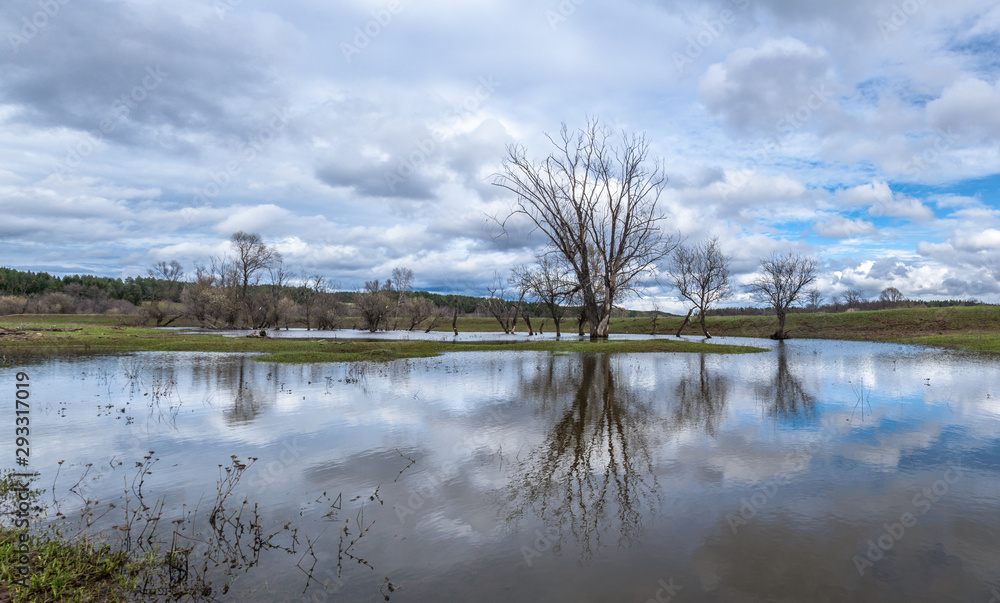 Group of bare trees standing in water during the spring flood of the river. Clouds in the sky. Reflections in water