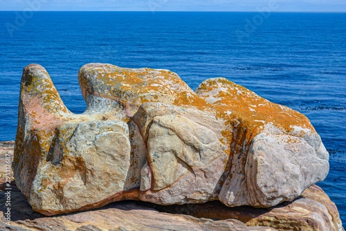 Impressive Rock at the Cape Point, South Africa photo