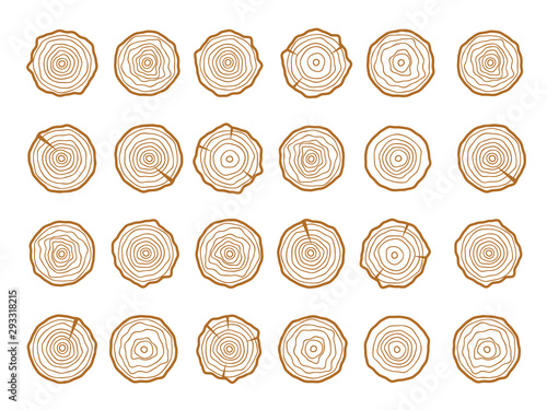 Vector tree rings. Wood texture vector. Abstract circle tree background