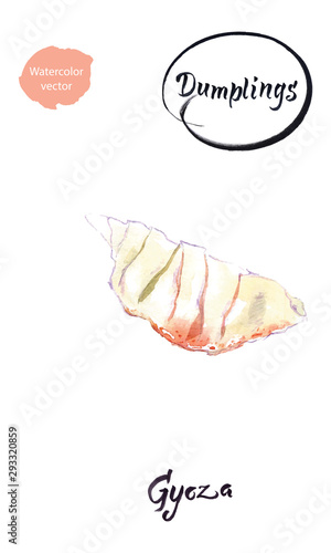 Asian dumpling Gyoza watercolor vector illustration