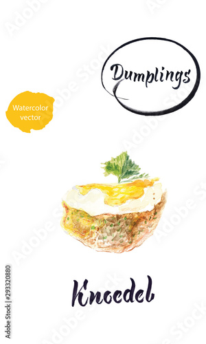German dumpling Knodel watercolor vector illustration