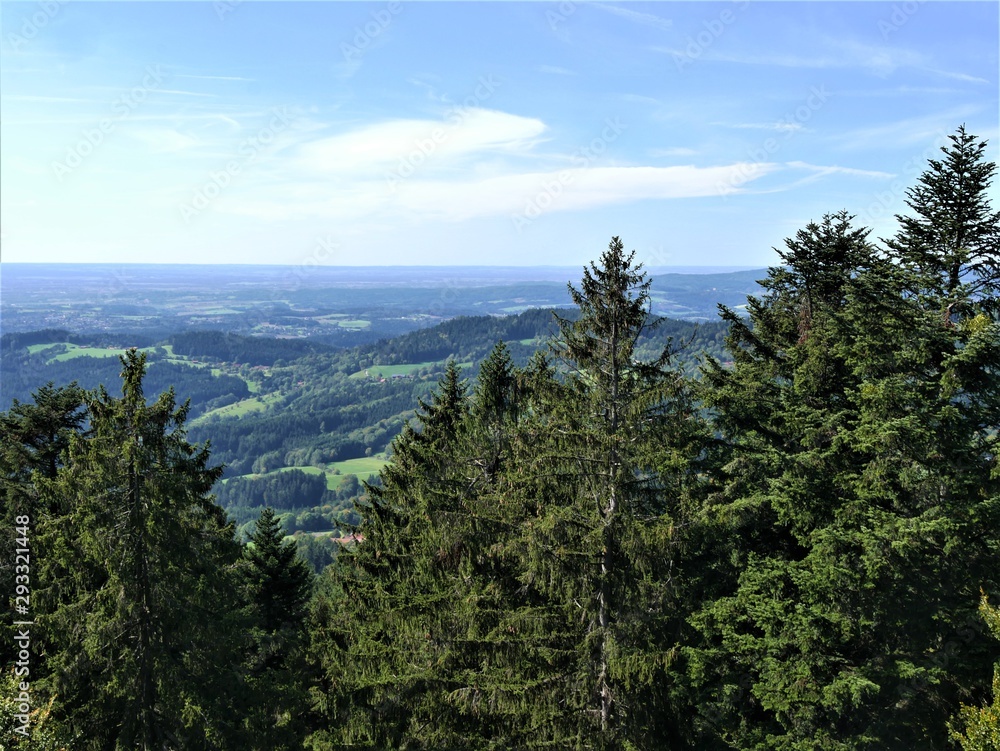 Bayerischer Wald