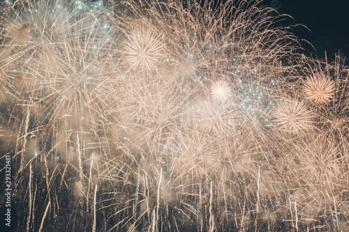 Fireworks festival. Fireworks display on dark sky background.