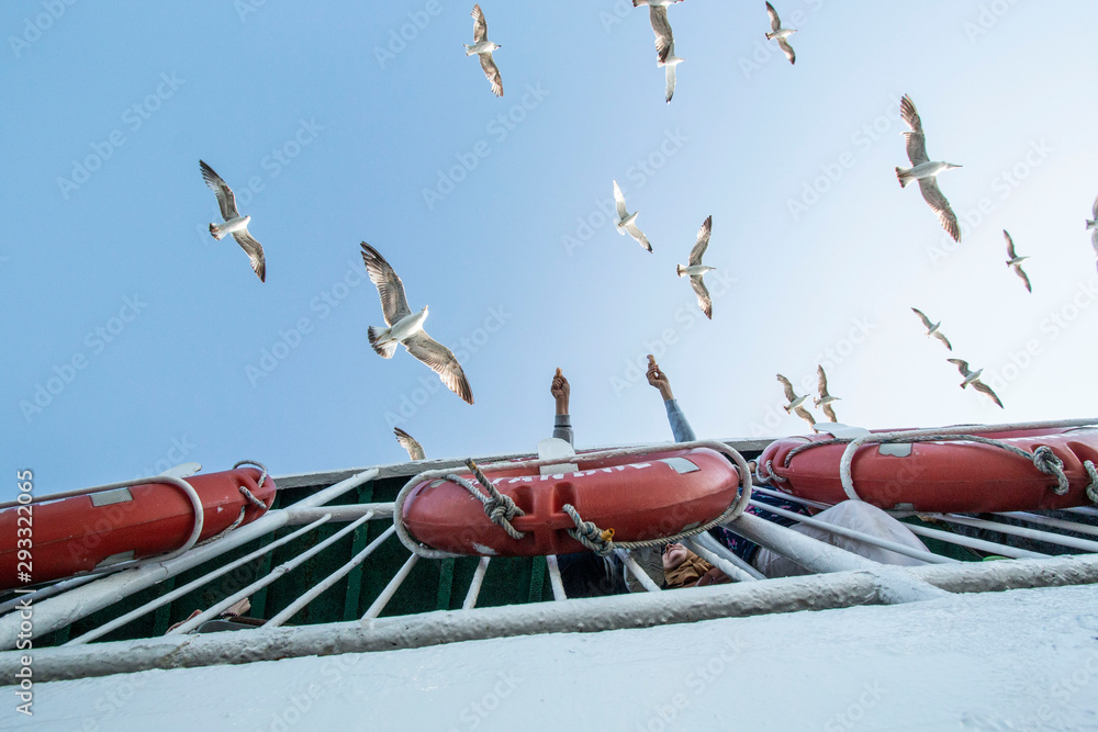 On the ferry to Kadikoy, children are feeding seagulls October1, 2019, ISTANBUL, TURKEY On the ferry to Kadikoy, children are feeding seagulls October1, 2019, ISTANBUL, TURKEY