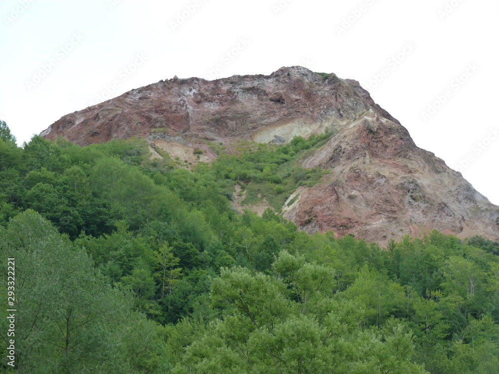 Fototapeta premium Mont japonais