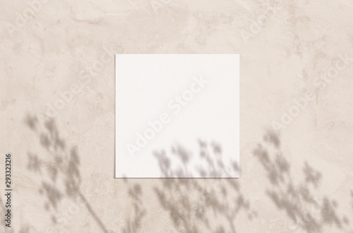 Wallpaper Mural Summer modern sunlight stationery mockup scene. Flat lay top view blank greeting card with herbs shadow overlay on grunge biege background. Torontodigital.ca
