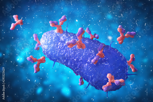 Microbiology. Antibodies attack virus. 3d illustration photo