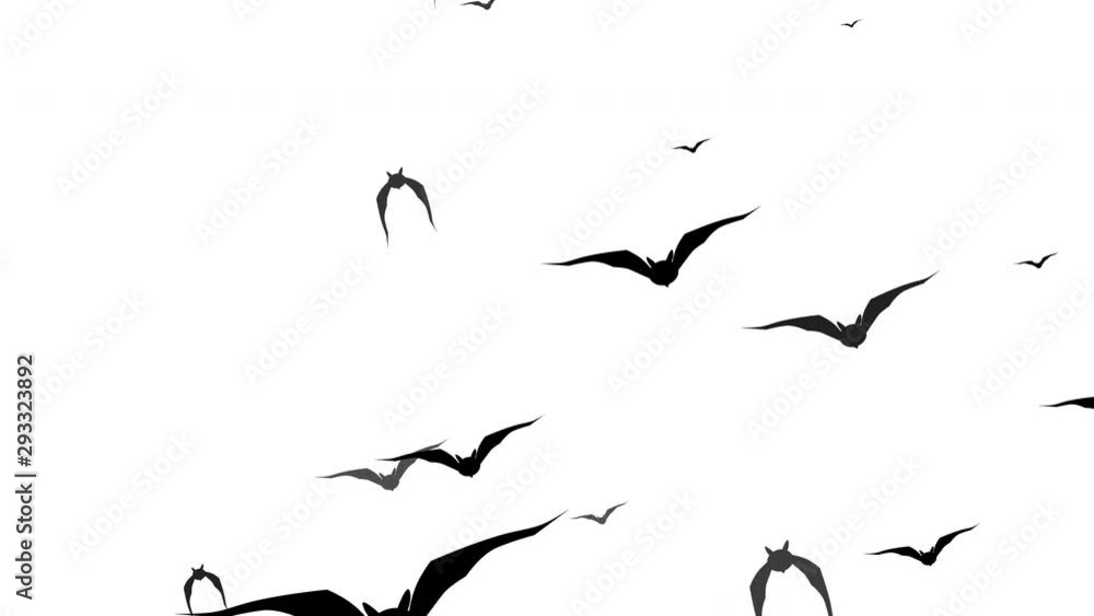 Swarm of bats flying across the screen. Spooky Halloween animated background. 4k Swarm of bats flying across the screen. Spooky Halloween animated background. 4k