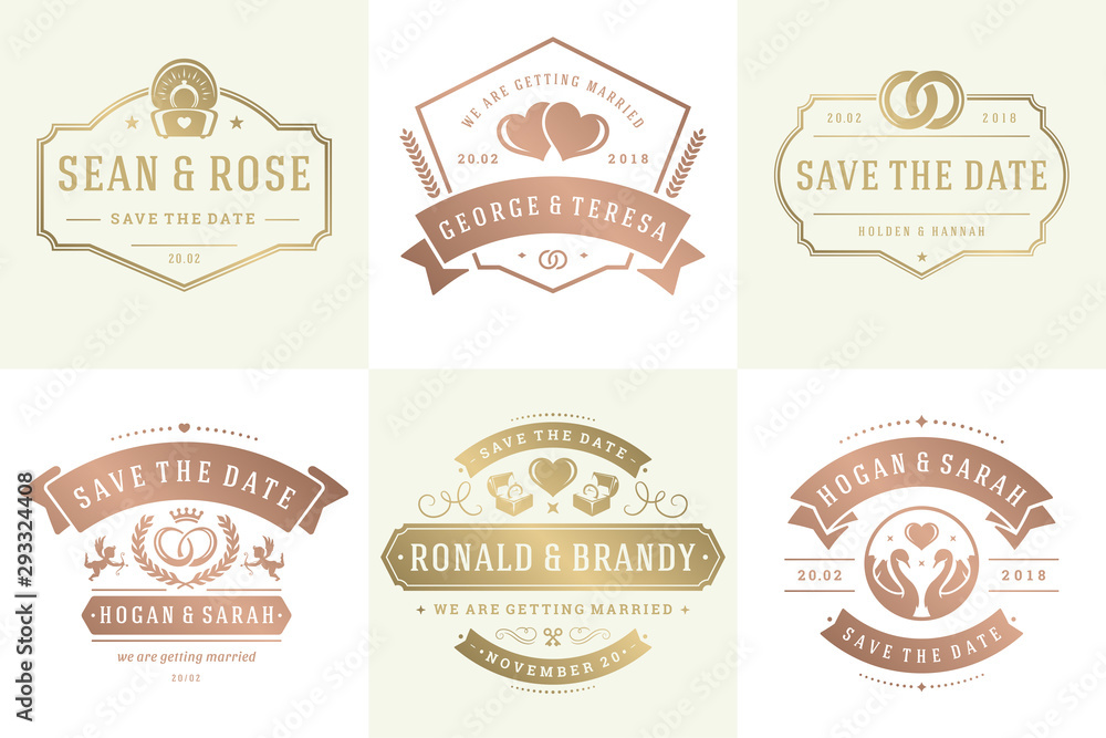 Wedding invitations save the date logos and badges vector elegant elements set