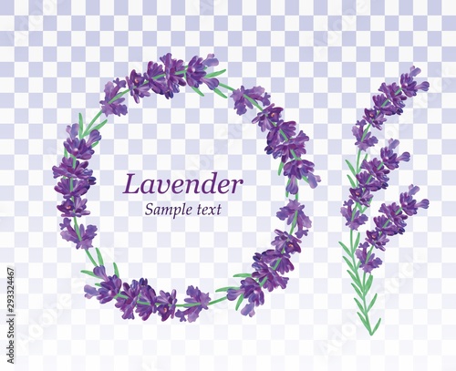 Lavender wreath isolated on transparent background. Bunch beautiful violet flowers.3D realistic lavender with copy space for your text. Fragrant lavender. Beautiful vector illustration.