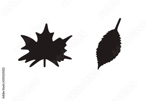 Autumn leaves vector silhuette. Canadian symbol